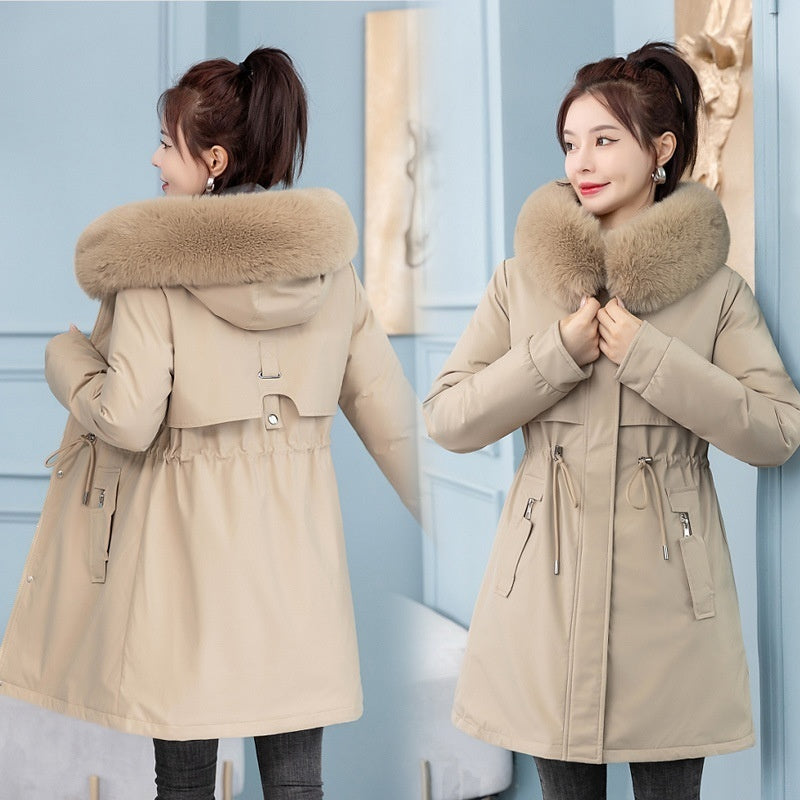 Mittellange, schlanke, modische, baumwollgefütterte Jacke für Damen